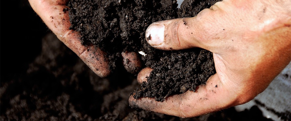 Man grabbing soil